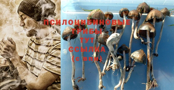 а пвп мука Козловка
