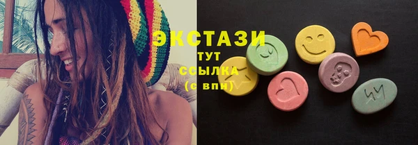 молекула духа Козельск