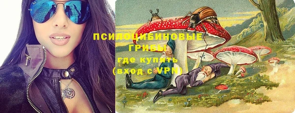 молекула духа Козельск