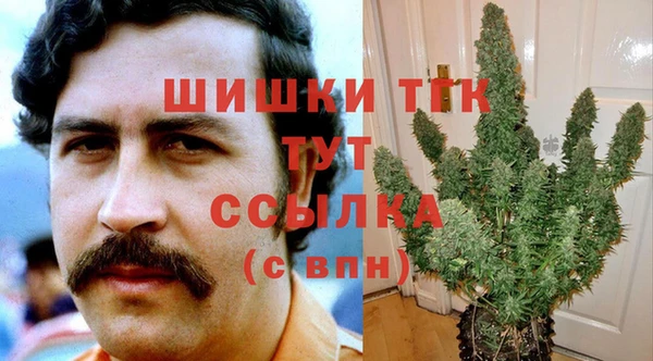 молекула духа Козельск