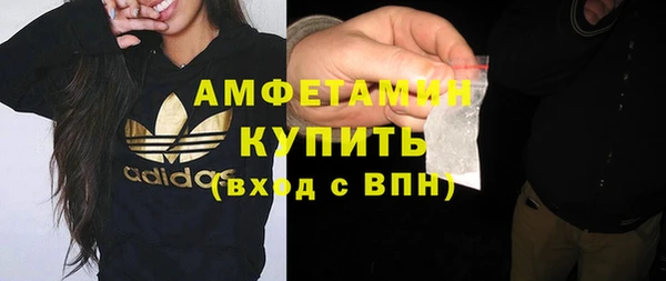 молекула духа Козельск