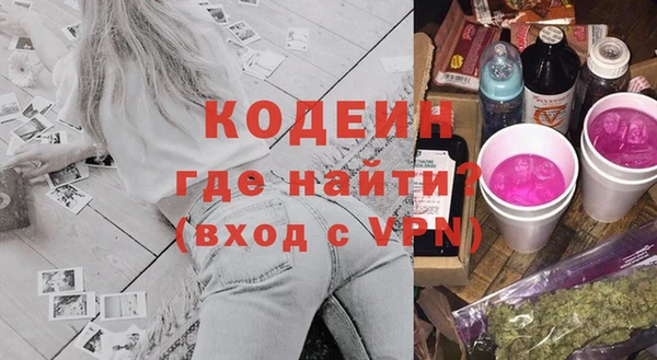 молекула духа Козельск