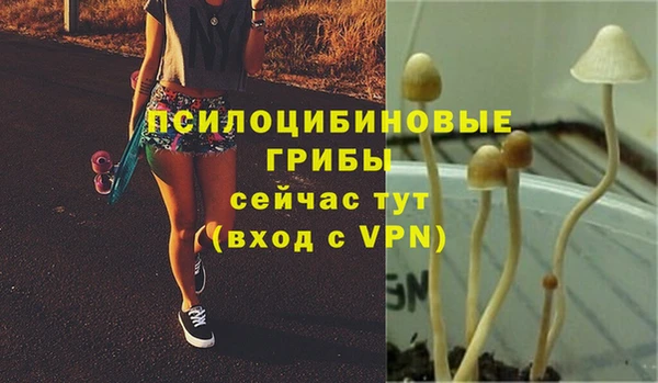 молекула духа Козельск