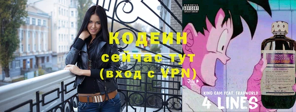 молекула духа Козельск