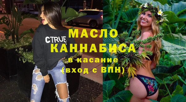 молекула духа Козельск
