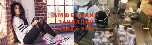 молекула духа Козельск