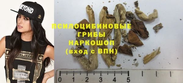молекула духа Козельск
