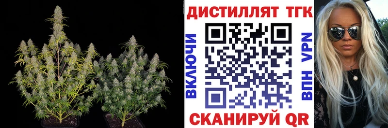 Купить  Ахтубинск  Дистиллят ТГК жижа 