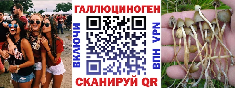 Купить где  Ахтубинск  Галлюциногенные грибы мицелий 