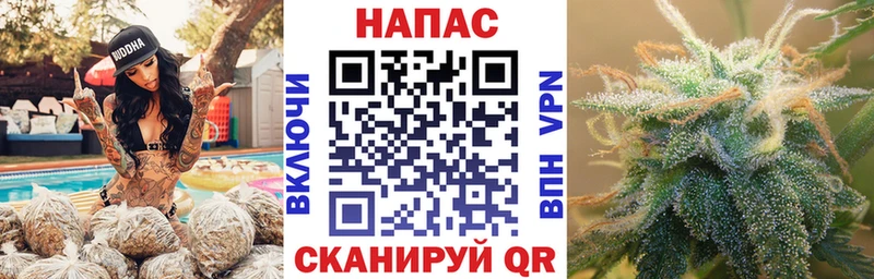 МАРИХУАНА семена  Купить закладки  Ахтубинск 